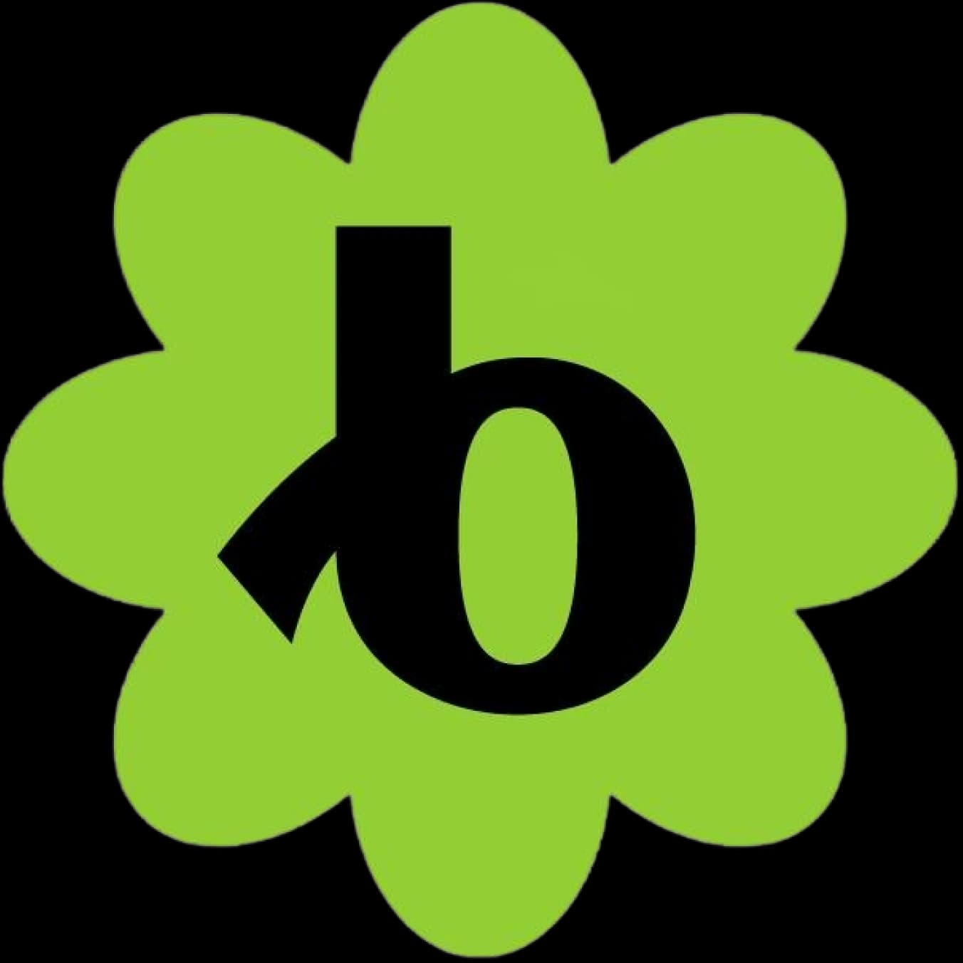 Bloomerang