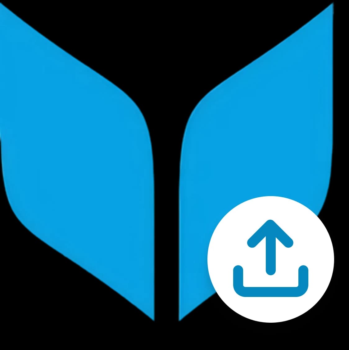 Upload enriched data to Virtuous