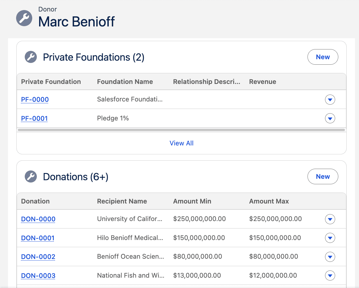 Donor record page with child records in Donations and Education related lists