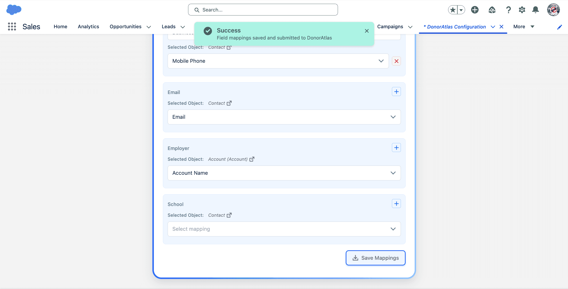Contact, Lead, and Account field mappings configured in DonorAtlas